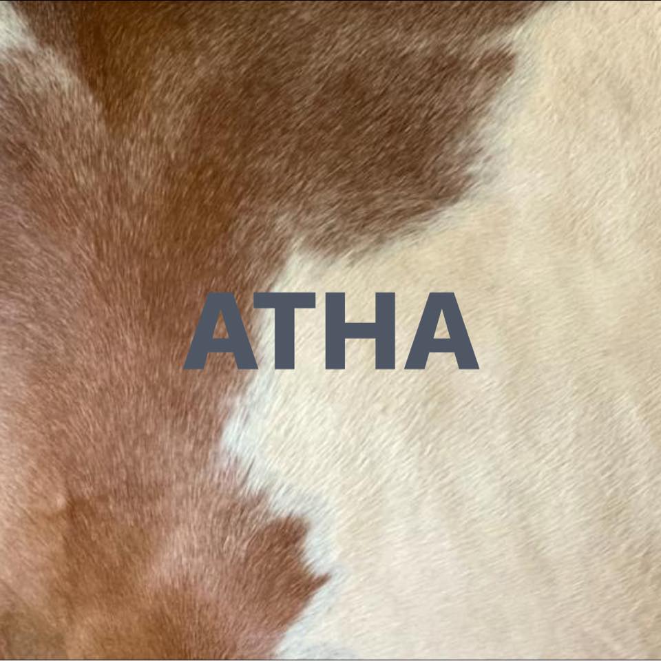 AMERICAN TOBIANO HORSE ASSOCIATION